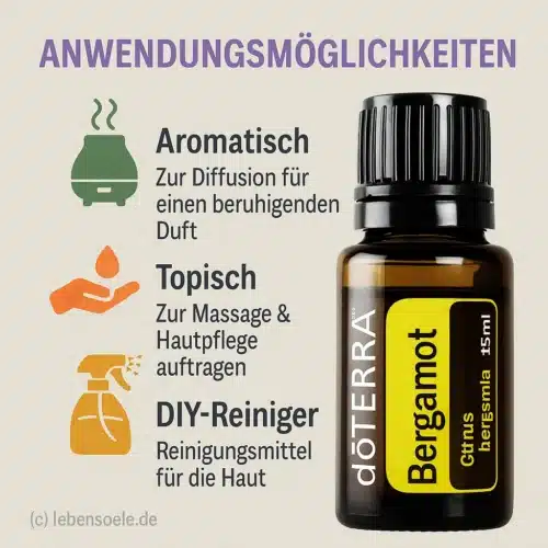 Bergamot
  - Citrus bergamia - Bergamot - Afbeelding 2