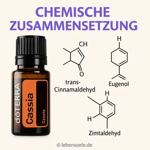 Cassia
  - Cinnamomum cassia - Afbeelding 3