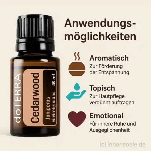 Ceder - Juniperus virginiana -
  Cedarwood - Afbeelding 2