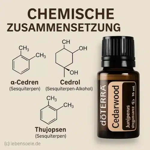 Ceder - Juniperus virginiana -
  Cedarwood - Afbeelding 3
