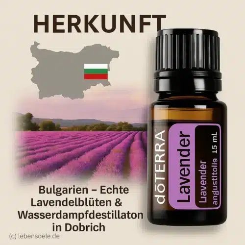 doTERRA Lavendel - Lavandula
  angustifolia - Lavender - Afbeelding 3