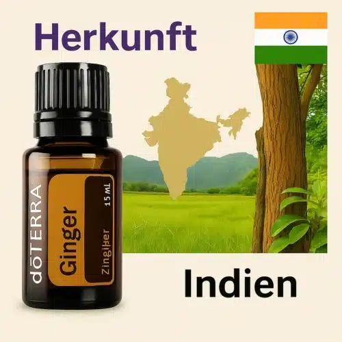 doTERRA Gember
  - Zingiber officinale - Ginger - Afbeelding 3