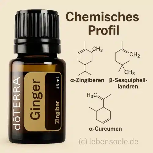 doTERRA Gember
  - Zingiber officinale - Ginger - Afbeelding 4