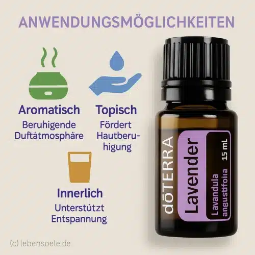 doTERRA Lavendel - Lavandula
  angustifolia - Lavender - Afbeelding 2