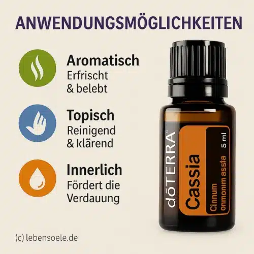 Cassia
  - Cinnamomum cassia - Afbeelding 2