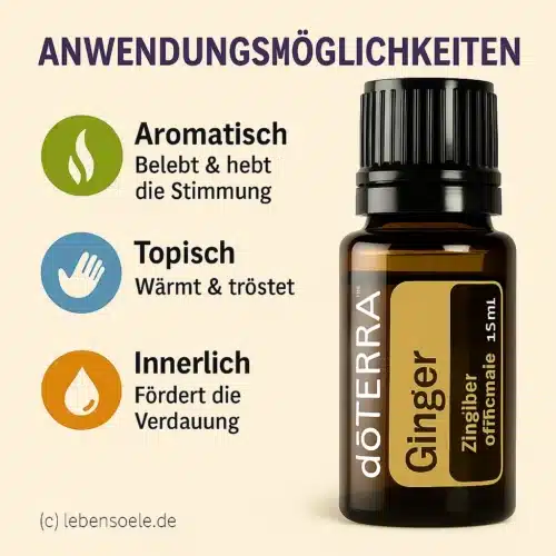 doTERRA Gember
  - Zingiber officinale - Ginger - Afbeelding 2
