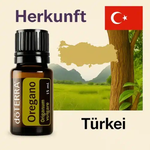 doTERRA Oregano - Origanum vulgare - Afbeelding 4
