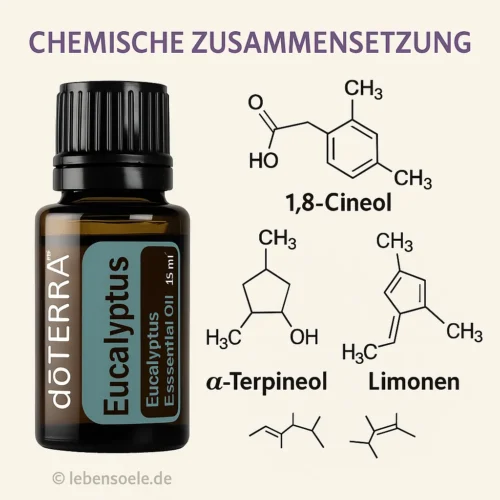 doTERRA Eucalyptus
  - Eucalyptus radiata - Afbeelding 3
