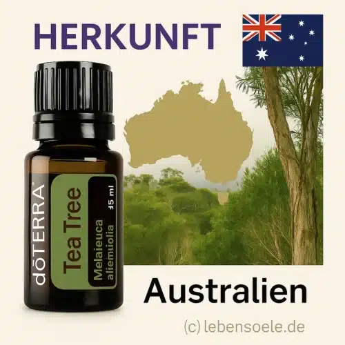 doTERRA Melaleuca
  - Tea Tree Oil - Tea Tree - Afbeelding 2