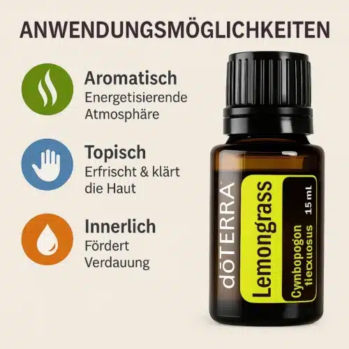 Citroengras Cymbopogon flexuosus
  - Lemongrass - Afbeelding 2