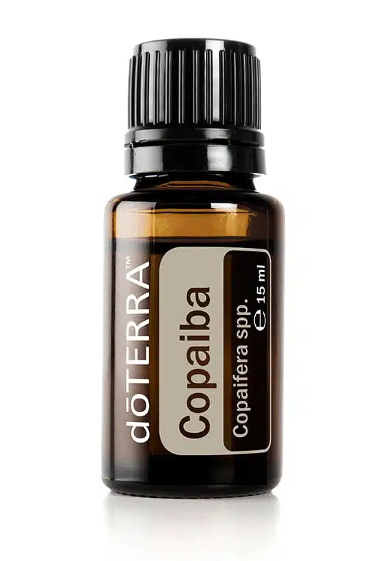 Kopaiva – Copaiba – Copaifera spp.