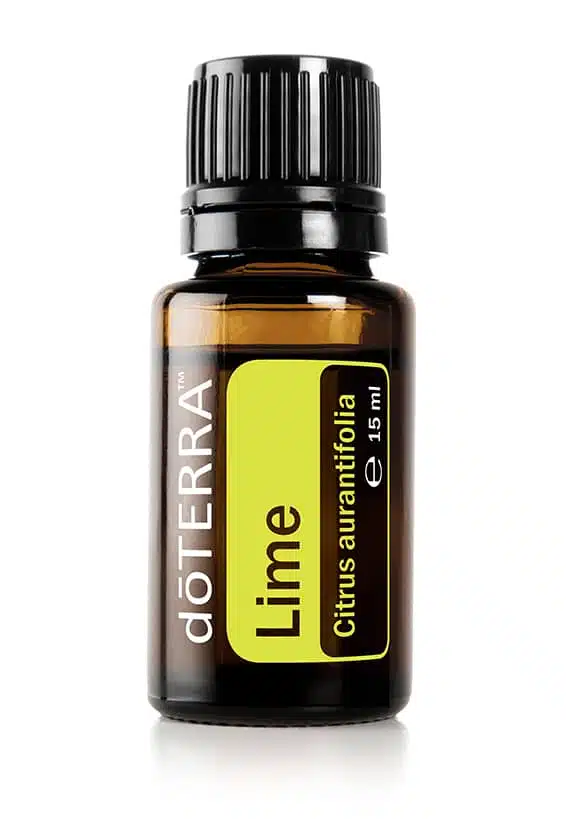 Limoen – Citrus aurantifolia – Lime