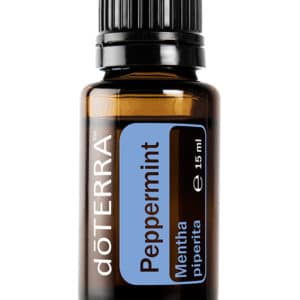 Pepermunt – Mentha piperita – Peppermint