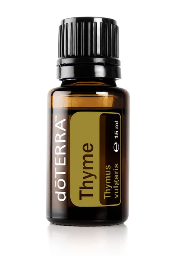 Tijm – Thymus vulgaris – Thyme