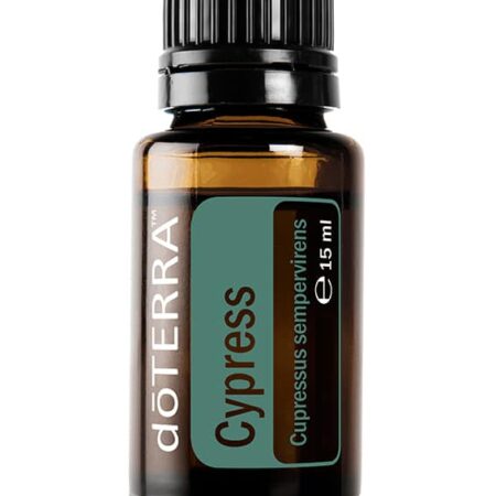 Cipres – Cupressus sempervirens – Cypress