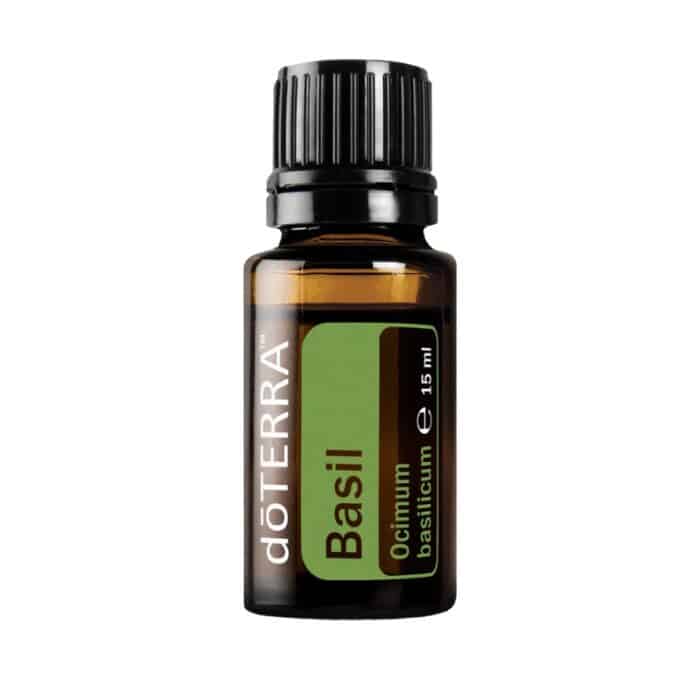 Basilicum – Ocimum basilicum –
  Basil