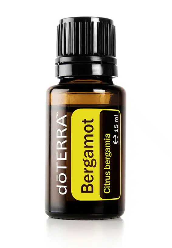 Bergamot – Citrus bergamia – Bergamot