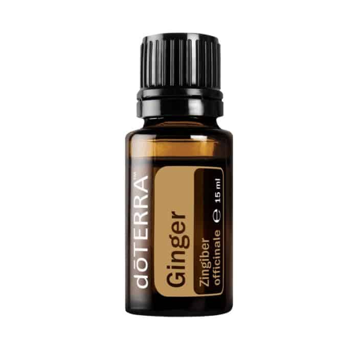 doTERRA Gember
  – Zingiber officinale – Ginger