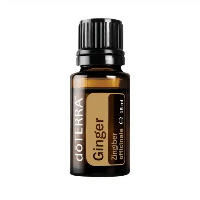 doTERRA Gember
  – Zingiber officinale – Ginger
