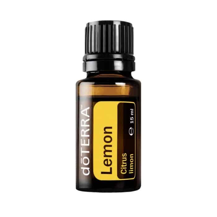 Citroen – Citrus limon – Lemon