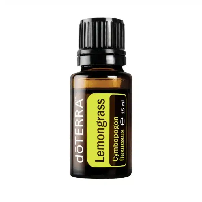Citroengras Cymbopogon flexuosus
  – Lemongrass