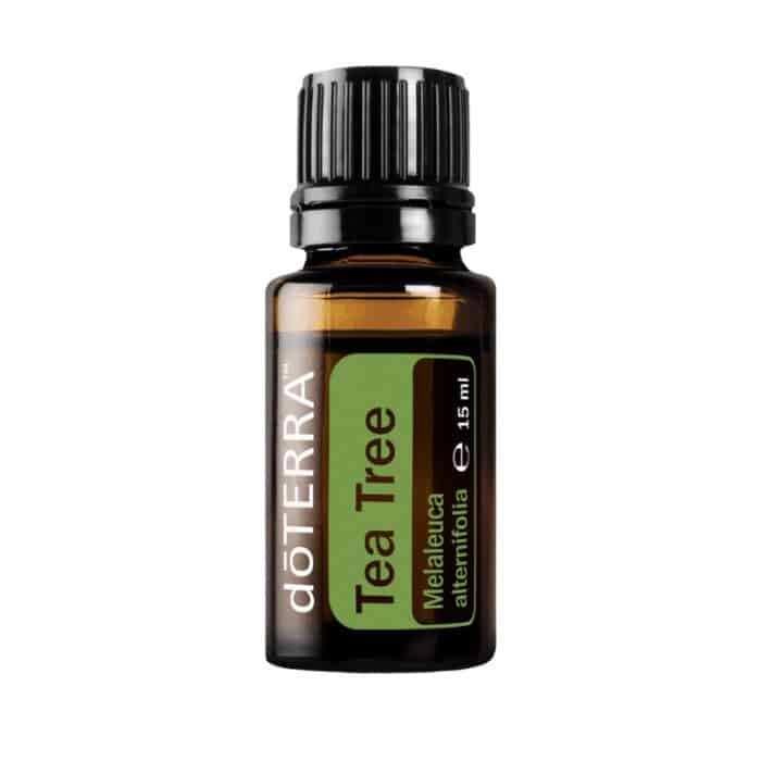 doTERRA Melaleuca
  – Tea Tree Oil – Tea Tree