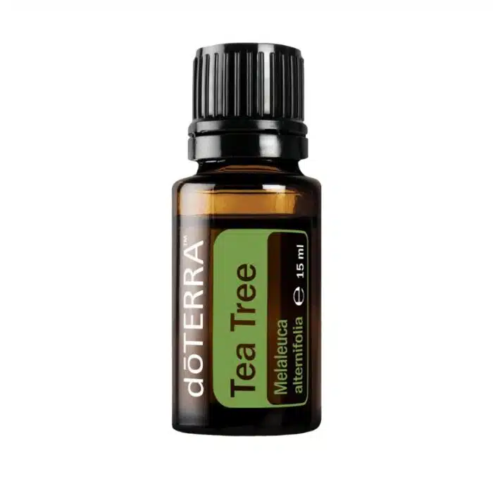 doTERRA Melaleuca
  – Tea Tree Oil – Tea Tree