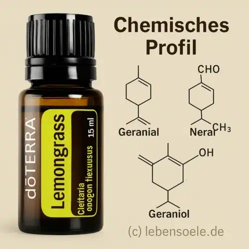 Citroengras Cymbopogon flexuosus
  - Lemongrass - Afbeelding 3