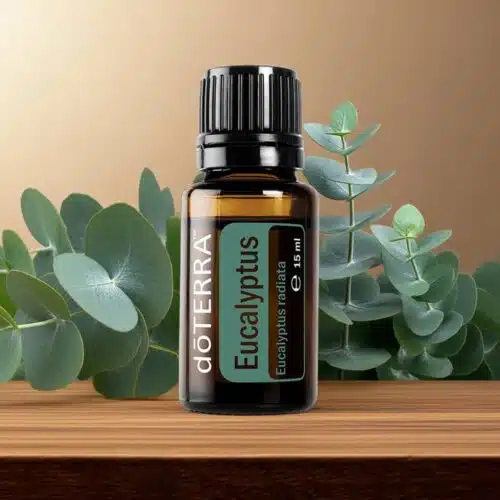 doTERRA Eucalyptus
  - Eucalyptus radiata - Afbeelding 5