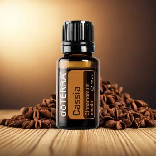 Cassia
  - Cinnamomum cassia - Afbeelding 5