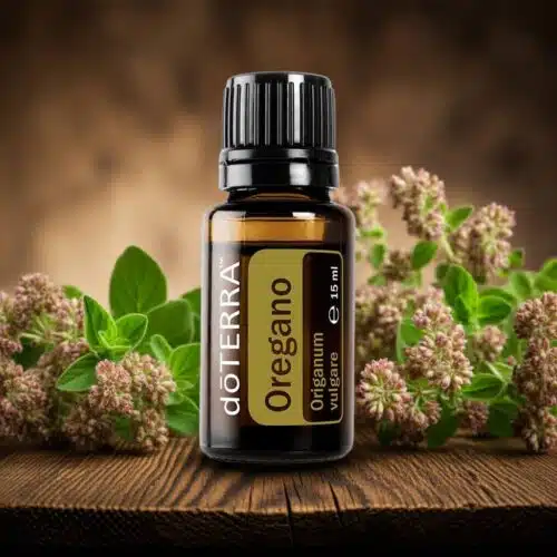 doTERRA Oregano - Origanum vulgare - Afbeelding 5