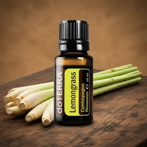 Citroengras Cymbopogon flexuosus
  - Lemongrass - Afbeelding 5