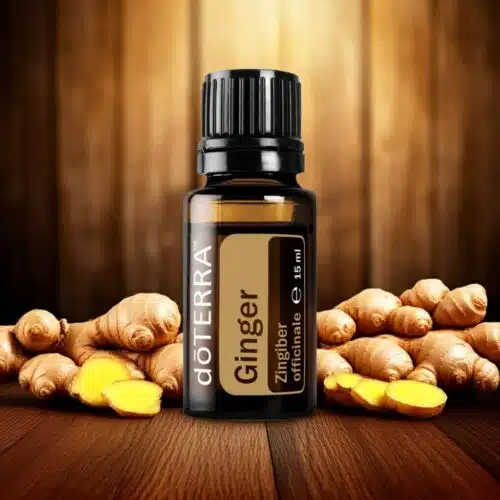 doTERRA Gember
  - Zingiber officinale - Ginger - Afbeelding 5
