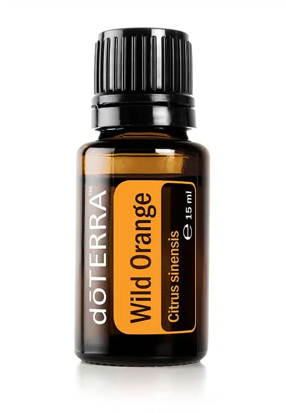 Wilde sinaasappel – Citrus sinensis – Wild Orange