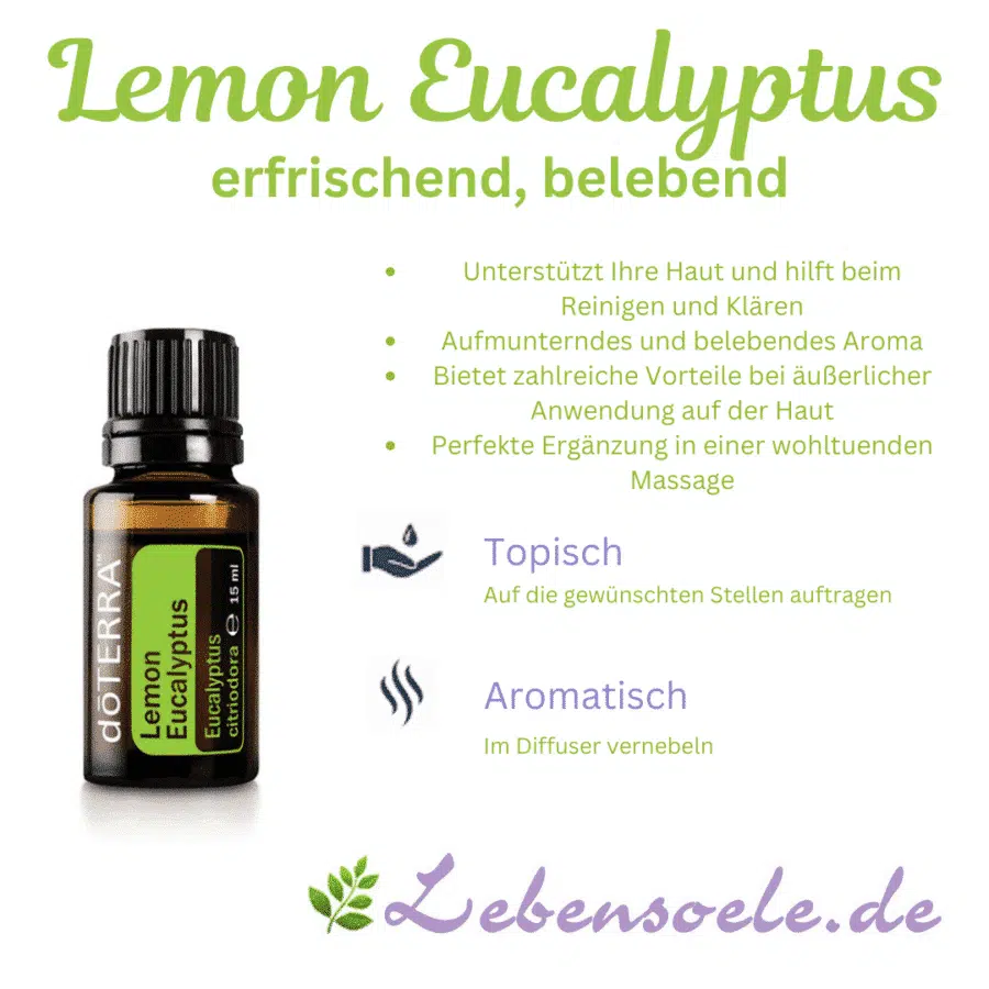 Citroen Eucalyptus – Eucalyptus citriodora – Lemon Eucalyptus