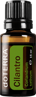 doTERRA Korianderkruid
  – Coriandrum sativum – Coriander