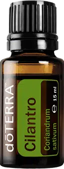 doTERRA Korianderkruid
  – Coriandrum sativum – Coriander