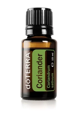 Koriander Coriandrum sativum - Coriander