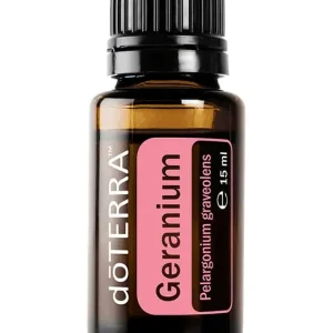 Geranie Pelargonium graveolens